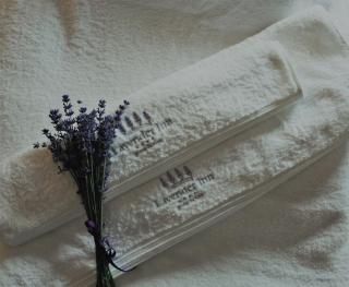 Lavender Inn Guest House - 4