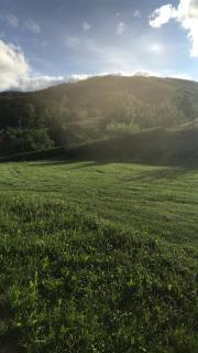 Bio Fattoria Cà d'Pignat - Lama Mocogno - 3