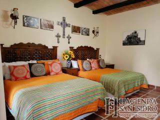 Hotel Hacienda San Isidro - San Isidro Mazatepec - 6