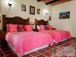 Hotel Hacienda San Isidro - San Isidro Mazatepec - 9