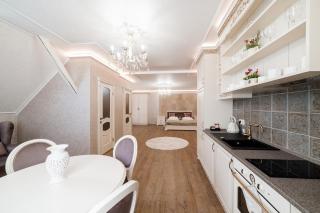 VIP apartment on Duhnovicha street .Free parking. - Uzhhorod - 9