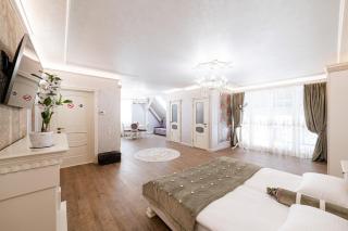 VIP apartment on Duhnovicha street .Free parking. - Uzhhorod - 1