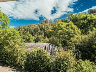 Apartment in Willingen near Ski Slopes - Willingen - 3
