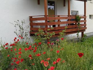 Ferienwohnung Frechenhausen - Marburg Biedenkopf mit 5 Zimmer - 2 Küchen - 2 Bad - Frechenhausen - 8