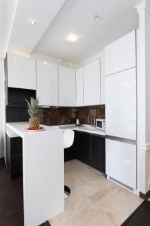 Exquisite panoramic views apartment Dnipro embankment - Kiev - 5
