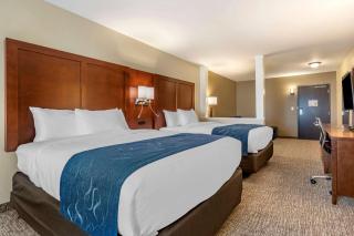 Comfort Suites Daytona Beach-Speedway - Daytona Beach - 5
