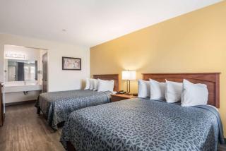 Econo Lodge Inn & Suites Lodi - Wine Country Area - Lodi - 1