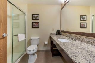 Comfort Suites Mason near Kings Island - Mason - 3