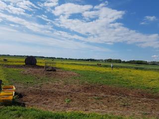 Bauernhof Südfrersbüll - 1