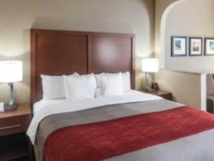 Comfort Inn & Suites - La Grange - 9