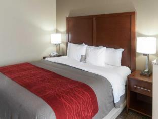 Comfort Inn & Suites - La Grange - 8