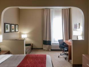 Comfort Inn & Suites - La Grange - 6