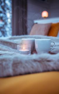 Arctic Skylight Lodge - 4