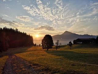 Brandhof - - 3
