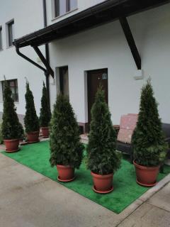 Apartman Filip-Vila Zlatiborski andjeo Zlatibor - 5