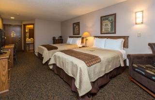 Stoney Creek Hotel St. Joseph - 7