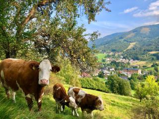 Feichterhof - Bad Kleinkirchheim - 6