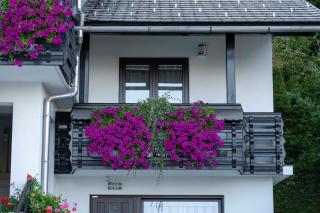 Apartma Vražič - Bled - 9