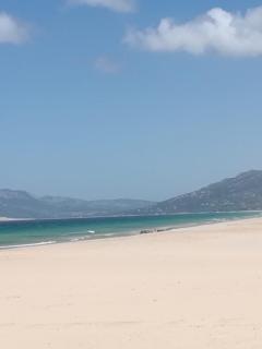 Urb Tortuga 1 Adults Recommended - Tarifa - 7