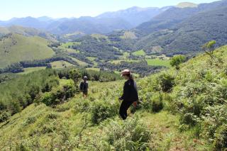 Les Granges de La hulotte, la hulotte - Lies - 1