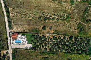 Villa Olivetum - Zadar - 9