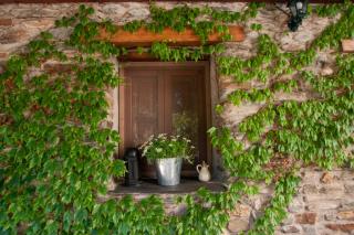 Casa-Huerto La Juana - 6