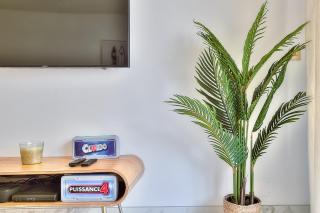 Luxury 4 Stars Apartment with 2 Terraces, Cannes Croisette - Cannes - 4