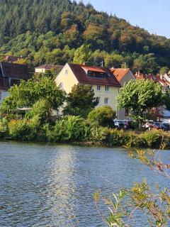 Ferienwohnungen Flussufer - Neckargemünd Altstadt - Neckargemünd - 3
