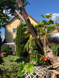 Pension Haus Bielke - Berlin - 7