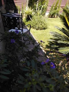 Apartamento Laila,Sevilla, - 9