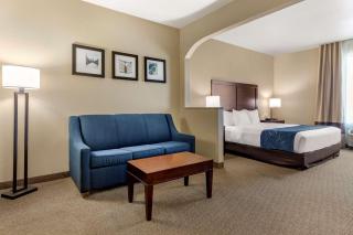Comfort Suites Waco Near University Area - Waco - 5