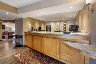 Comfort Inn & Suites Rochelle - DeKalb - Rochelle - 8