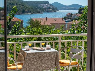 Apartments Njiric - Zaton - 9