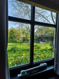 The Black Sheep Hostel - Giethoorn - 8