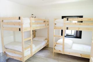 The Black Sheep Hostel - Giethoorn - 7