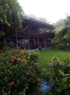 Luminosa Montezuma Hostel - 9