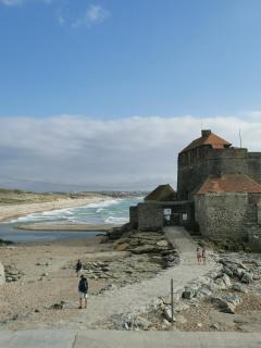 Le jardin de la mer - Wierre-Effroy - 2