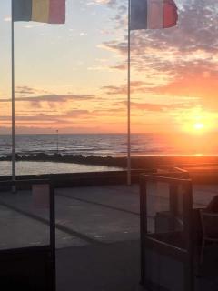 Le jardin de la mer - 5