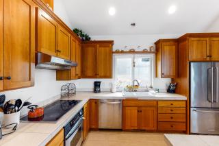 Somervilles Escape - Newport - 8