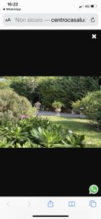 Immersi nella natura - 1