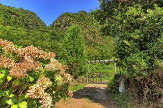 Chale Jardim De Cima - São Vicente - 9
