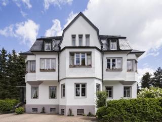 Villa Siegfried - Bad Steben - 8