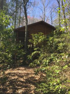 Misty Creek Log Cabins - Maggie Valley - 9