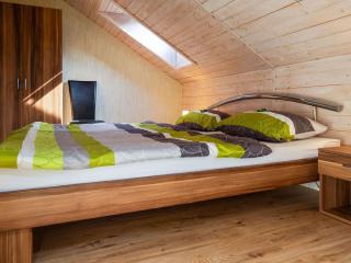 Apartment with forest in Goldisthal Thuringia - Goldisthal - 9