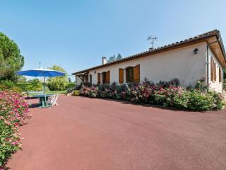 Beautiful villa with private garden in Pineuilh - Pineuilh - 2
