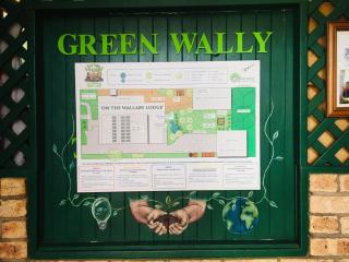 On The Wallaby Eco Lodge - Yungaburra - 6