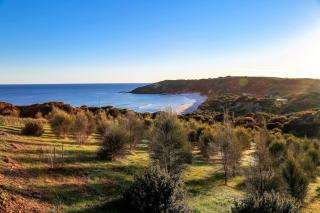 Sheoaks - Stokes Bay - 9