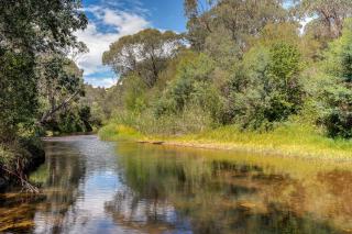 On the River, Porepunkah - Bright VIC - Porepunkah - 7