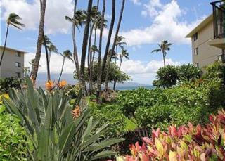Kanai A Nalu Resort 108 - Wailuku - 0