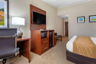 Comfort Inn Lancaster County North - Denver - 2